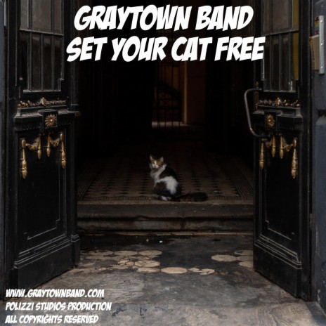 Set Your Cat Free | Boomplay Music