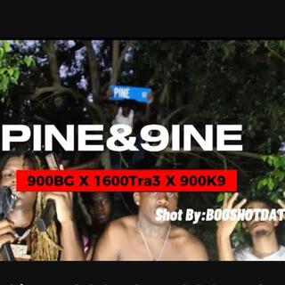 Pine&9ine