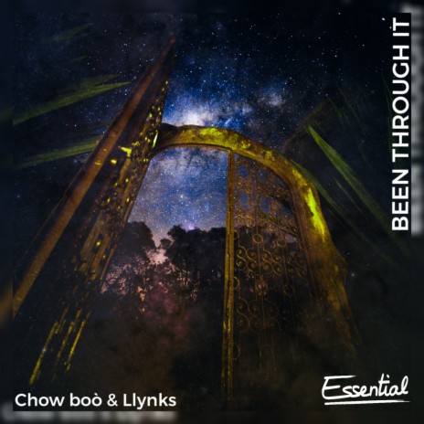 Been Through It ft. Llynks | Boomplay Music