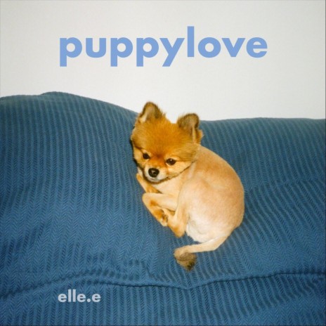 Puppy Love | Boomplay Music