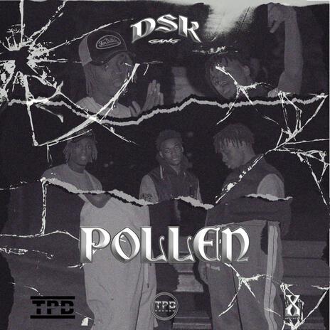 POLLEN | Boomplay Music