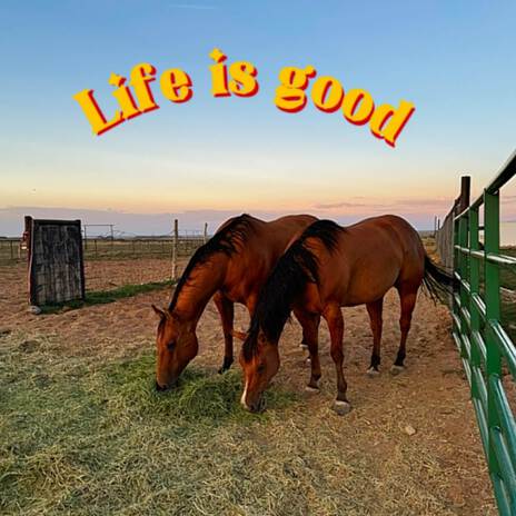 Life Is Good | Boomplay Music