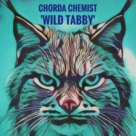 Wild Tabby | Boomplay Music