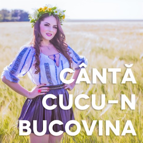 Canta Cucu-n Bucovina | Boomplay Music