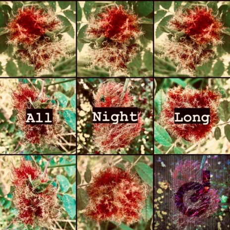 All Night Long (Deep House Mix) (Deep House Version)