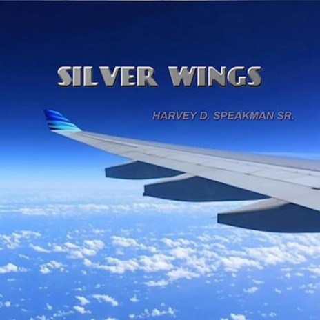 Silver Wings | Boomplay Music