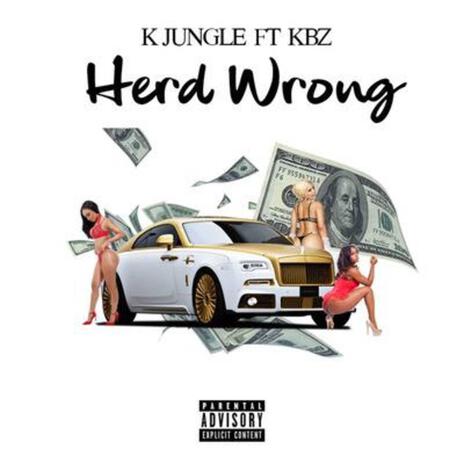 Herd wrong (Radio Edit) ft. KBZ 2x | Boomplay Music