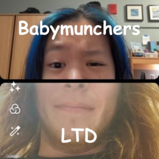 Babymunchers LTD
