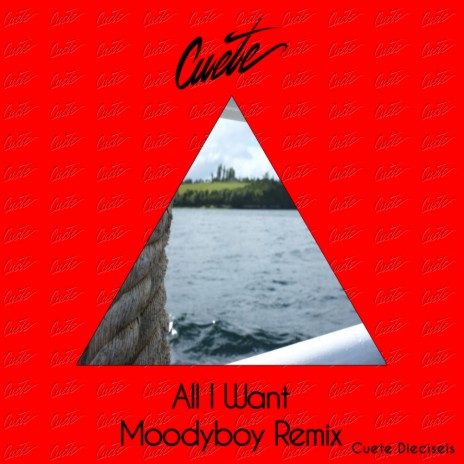 All I Want (Moodyboy Remix) | Boomplay Music