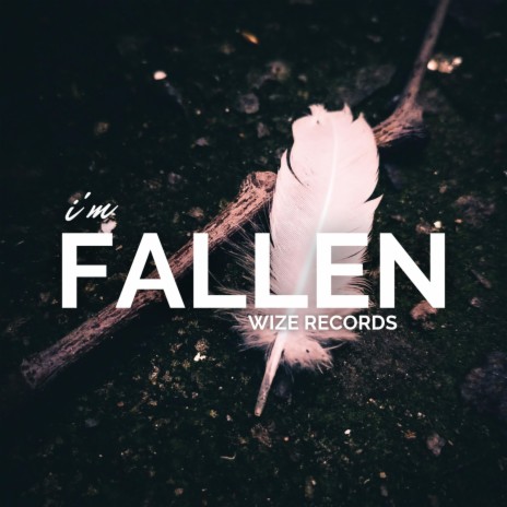 I'm Fallen | Boomplay Music