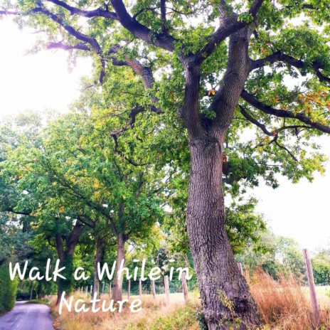 Walk a While in Nature | Boomplay Music