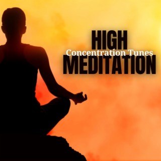 High Meditation Concentration Tunes