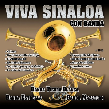 Paloma Sin Nido | Boomplay Music