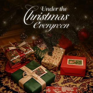 Under the Christmas Evergreen