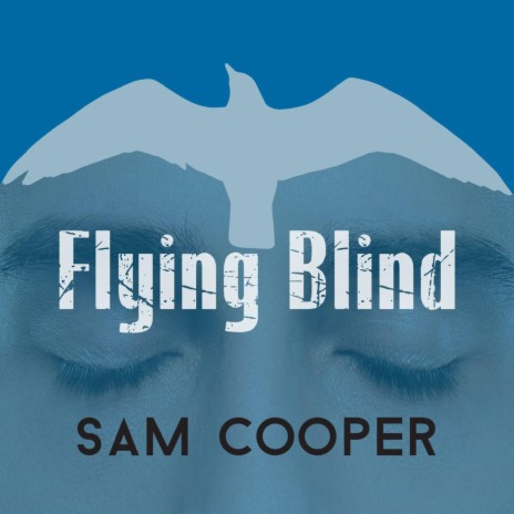 Flying Blind | Boomplay Music