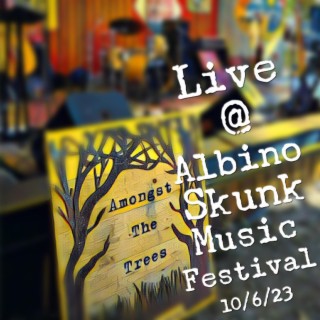 Live @ Albino Skunk Music Festival