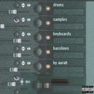 drums, samples, keyboards, and basslines