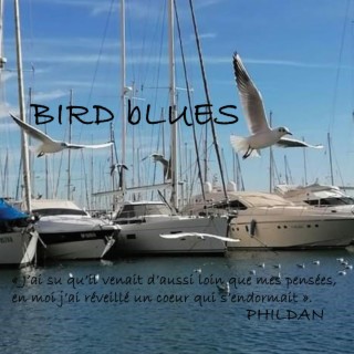 BIRD BLUES