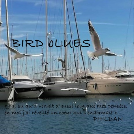 BIRD BLUES | Boomplay Music