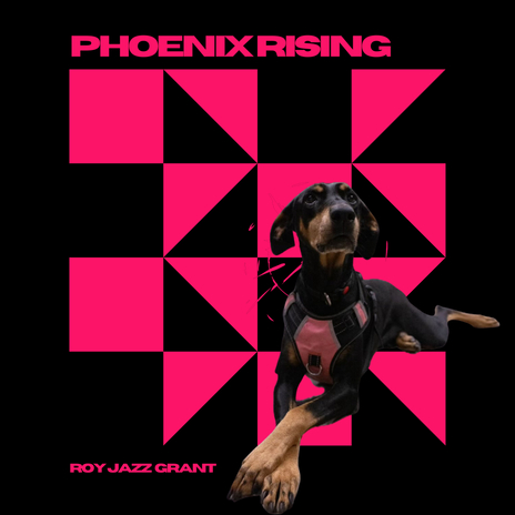 Phoenix Rising | Boomplay Music