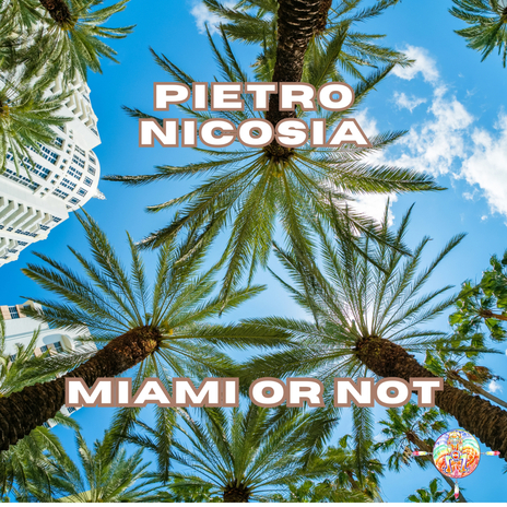 Miami or Not | Boomplay Music