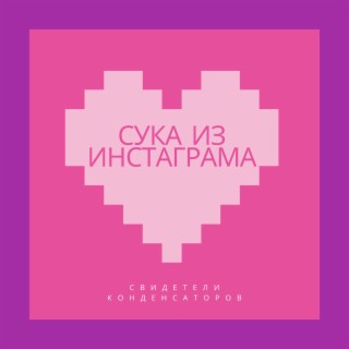 Сука из инстаграма