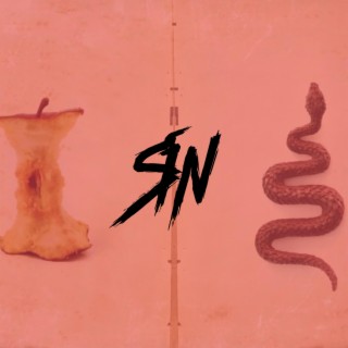 Sin