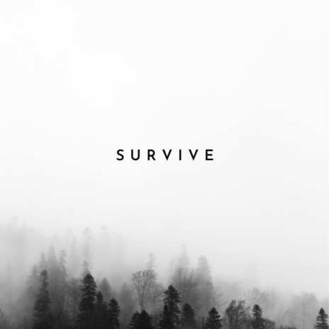 Survive | Boomplay Music