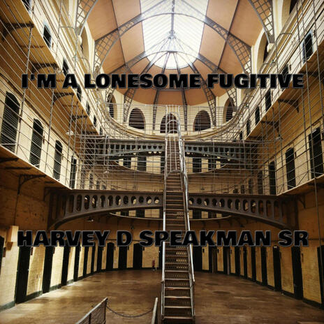 I'm A Lonesome Fugitive | Boomplay Music