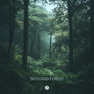 Secluded Forest