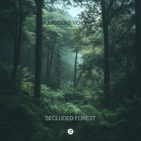 Secluded Forest | Boomplay Music