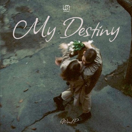 My Destiny | Boomplay Music