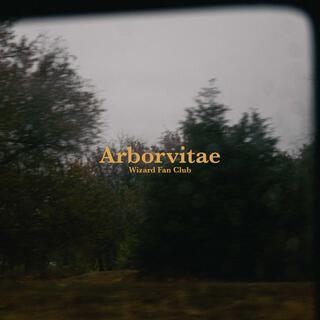 Arborvitae