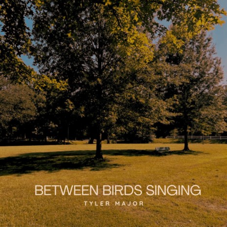 Between Birds Singing | Boomplay Music
