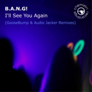 I'll See You Again (GooseBump & Audio Jacker Remixes)