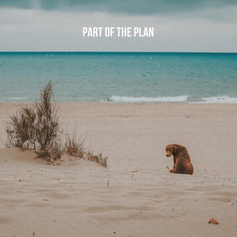 part of the plan | Boomplay Music