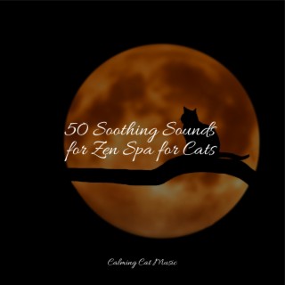 Music for Resting Cats