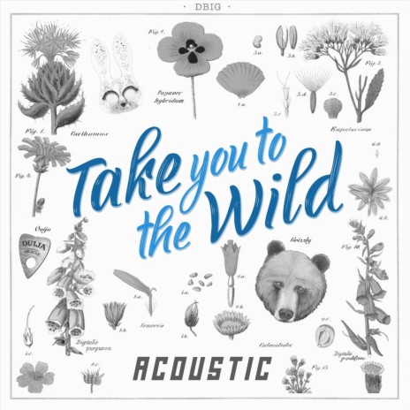 Take You to the Wild (Acoustic) | Boomplay Music