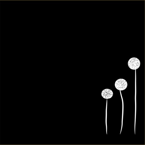 Dandelion Fields | Boomplay Music