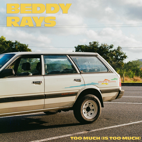 Too Much (Is Too Much) | Boomplay Music