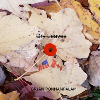 Dry Leaves