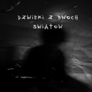 DŹWIĘKI Z DWÓCH ŚWIATÓW