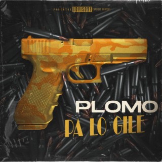 Plomo Pa Lo Gile lyrics | Boomplay Music