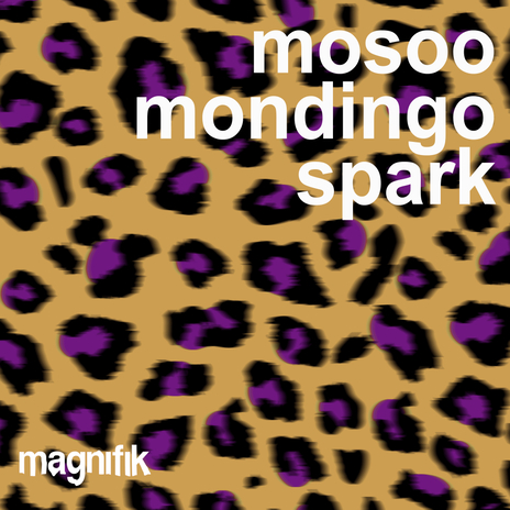 Spark ft. Mondingo | Boomplay Music