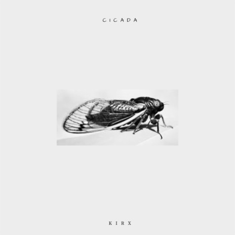 Cicada | Boomplay Music