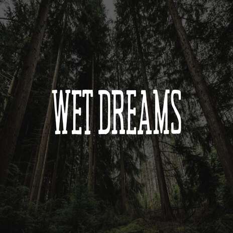 Wet Dreams ft. airo music | Boomplay Music