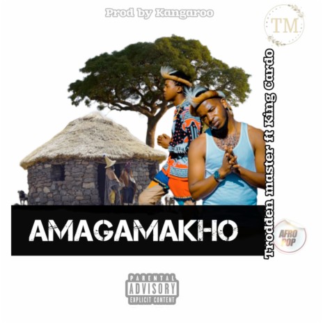 Amagamakho ft. CADO | Boomplay Music