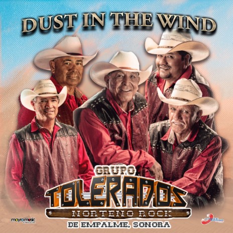 Dust In The Wind | Boomplay Music