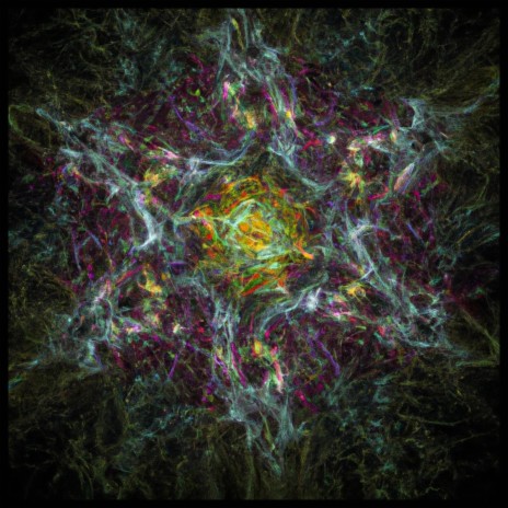 fractal music ft. Ralph Abraham