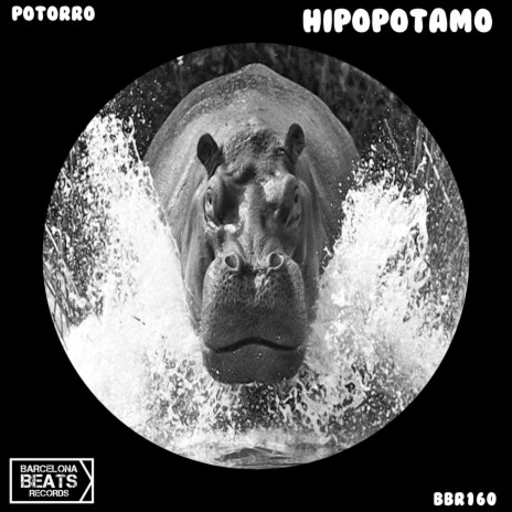 Hipopotamo | Boomplay Music